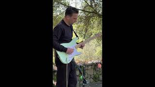 The Hawk (Patrick Walsh)