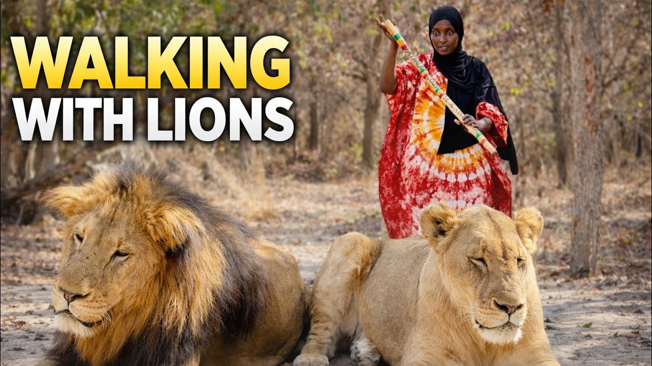 I Walked With Lions in Senegal (3 Days Exploring Sine Saloum) 🇸🇳 