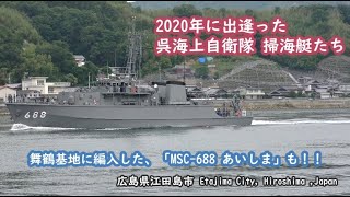 舞鶴基地へ編入した「あいしま」も!2020年に出逢った 呉海上自衛隊 掃海艇たち 「MSC-684 なおしま」、「MSC-690 みやじま」広島県江田島市