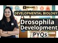 Drosophila Development PYQs | Developmental Biology | Jyoti Kumari | CSIR | DBT | ICMR | GATE |