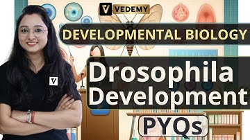Drosophila Development PYQs | Developmental Biology | Jyoti Kumari | CSIR | DBT | ICMR | GATE |