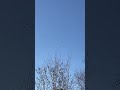 13 мая 2023 г.
