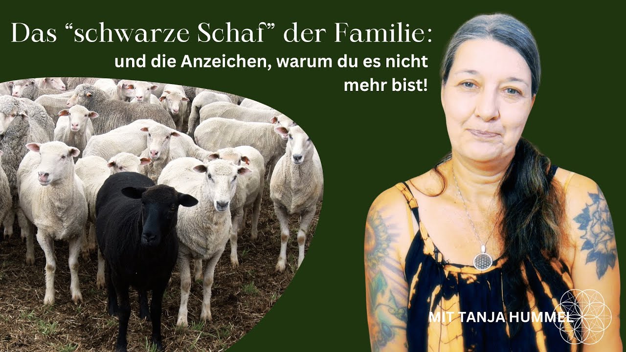 Daran erkennst du, dass du KEIN schwarzes Schaf mehr bist