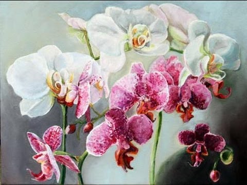 Pink and White Orchids Painting Time Lapse Kitty Moore  YouTube
