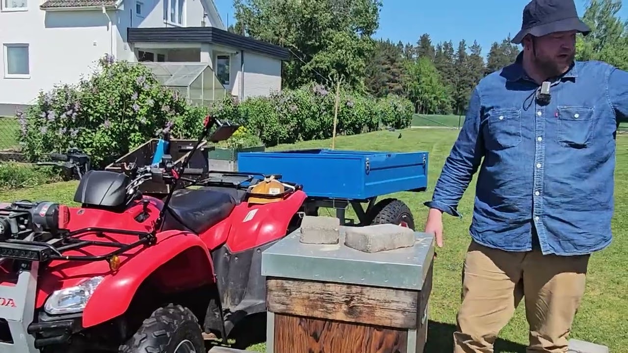 Rädda Bisamhällen Utan Drottning: Så Tillsätter Jag Ägg och Larver