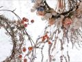 リラックス用オルゴール集 赤ちゃんと過ごす時間や胎教にも良いクラシックオルゴールBGM Orgel music for relax,maternity, and baby