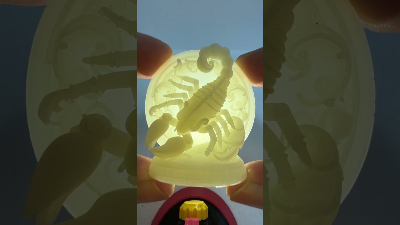 SCORPIO   THE SCORPION   Zodiac Series