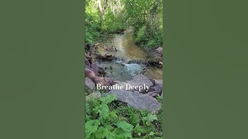 🌿432Hz Tuning Fork Short • Nature Energy • Harmony & Healing Sounds #soundhealing