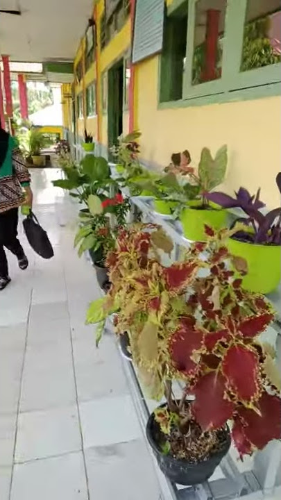bunga sekolah