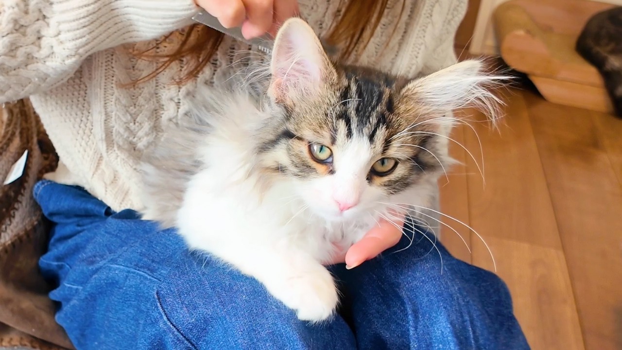 りあん※猫飼ってます※ 専用ページ I was shocked to find that the real names written on Ritchan and