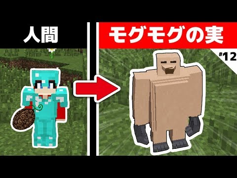 はるてぃー マイクラ真ワンピースクラフト12 Mp3