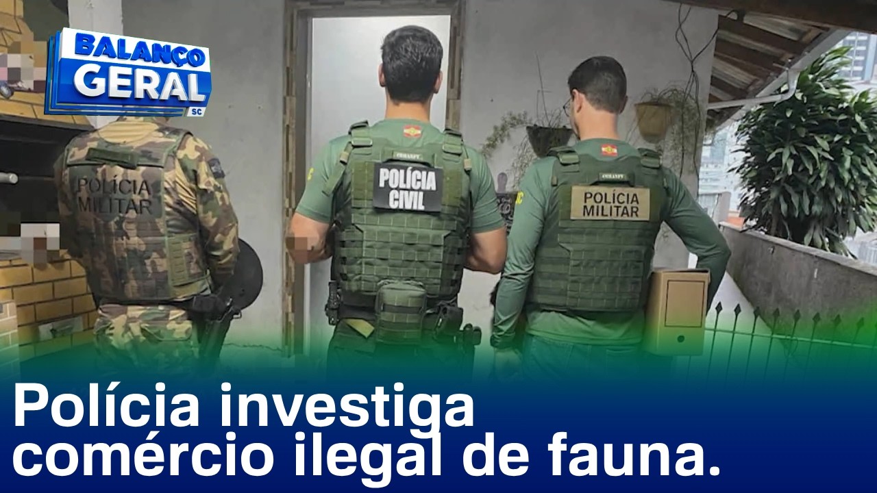 Gaiola de Ouro: polícia cumpre mandados sobre comércio ilegal de fauna silvestre e exótica. - QTU Questões do Universo