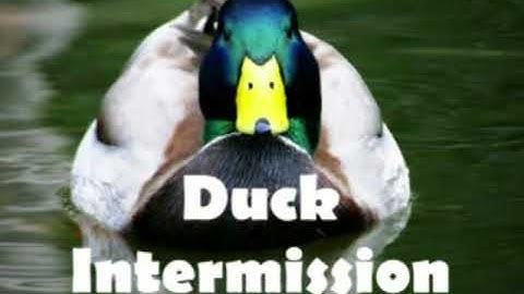 Sonic Adventure Commentary Part 7   There