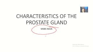 Characteristics Of The Prostate Gland, Blood Supply And Venous Drainage Of Prostate Gland