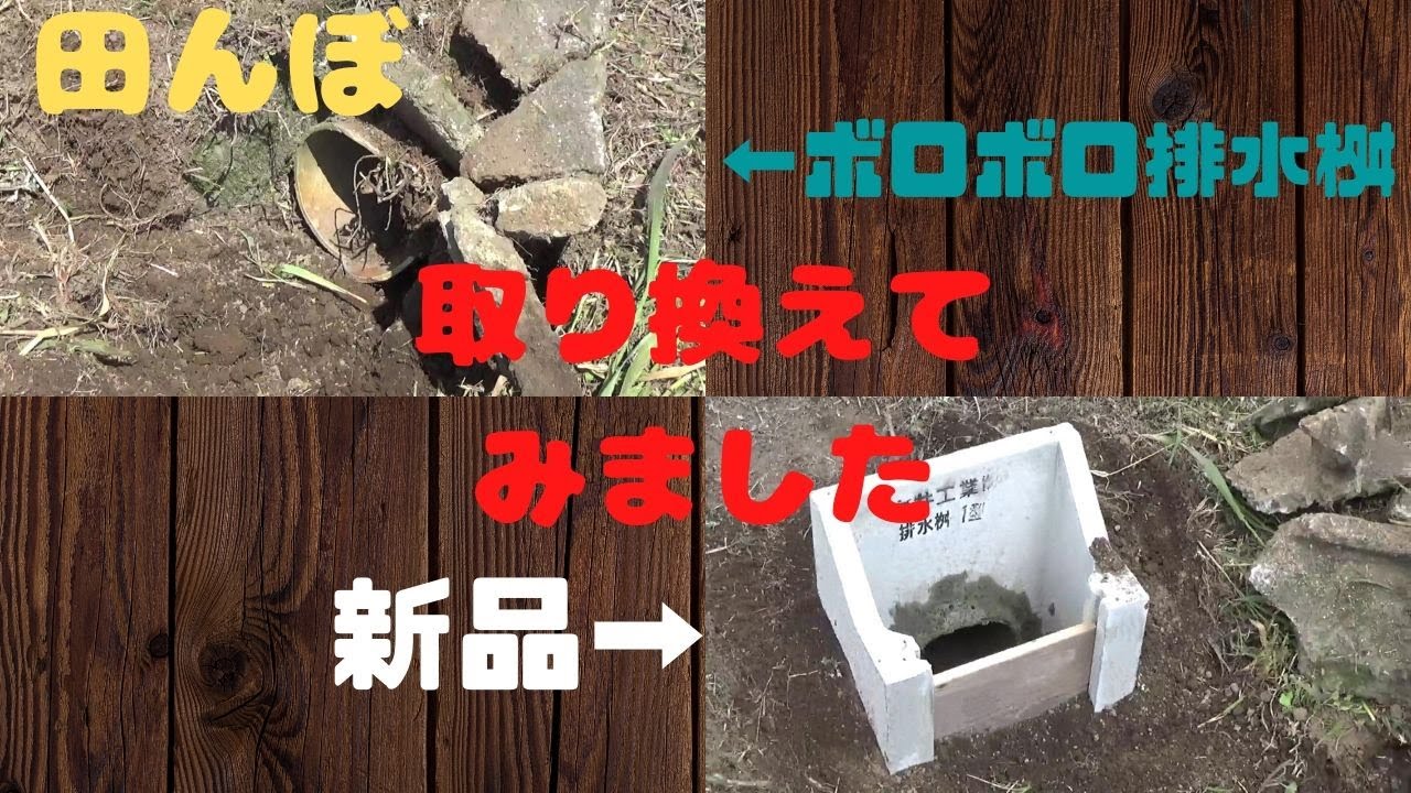 【田んぼ】田植え前の田んぼのメンテナンス！