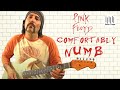 Pink Floyd - Comfortably Numb - Chords and First Solo - Guitar Lesson