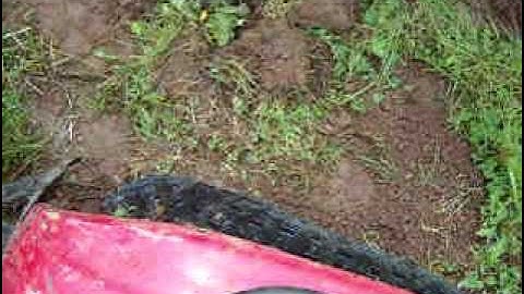 Gopher Patrol At Work