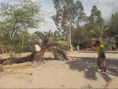 Bruja de Cachiche y la palmera de siete cabezas