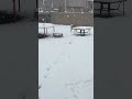 Snow day #snow