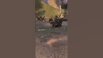 first MMORPG mount glitch I