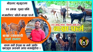 बोइलेर मा २२ लाख डुबेर पनि हार खाएनन फुर्बा तामांगले l l खोले बाख्रा फर्म ll Goat farming in Nepal