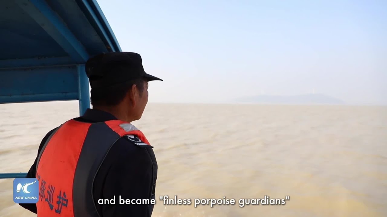 Safeguard the "smiling angel" in China's largest freshwater lake