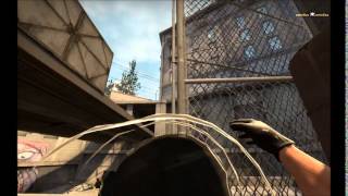 Overpass suicide bug Wealth