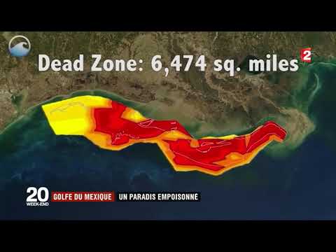 Vidéo: Lac Empoisonné Trouvé Au Fond Du Golfe Du Mexique