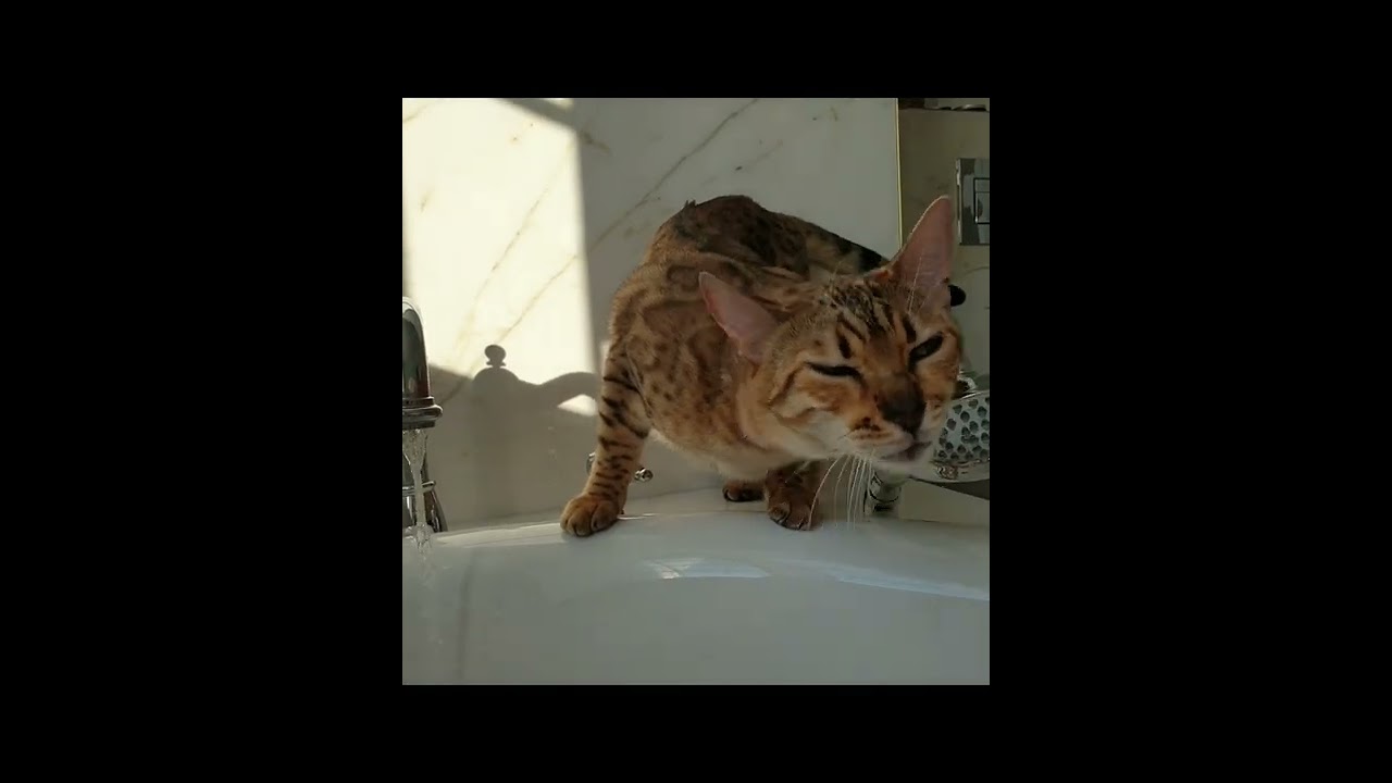 Ванная комната с плиткой  