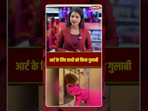 आर्ट के लिए हाथी को किया गुलाबी। #jaipurnews #pinkelephantcontroversy #viralshorts