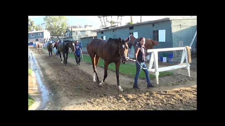 Morning Workouts - Oct. 4, 2013 at Santa Anita Park