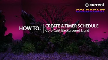 ColorCast Background LED: How to Create Timer Schedules