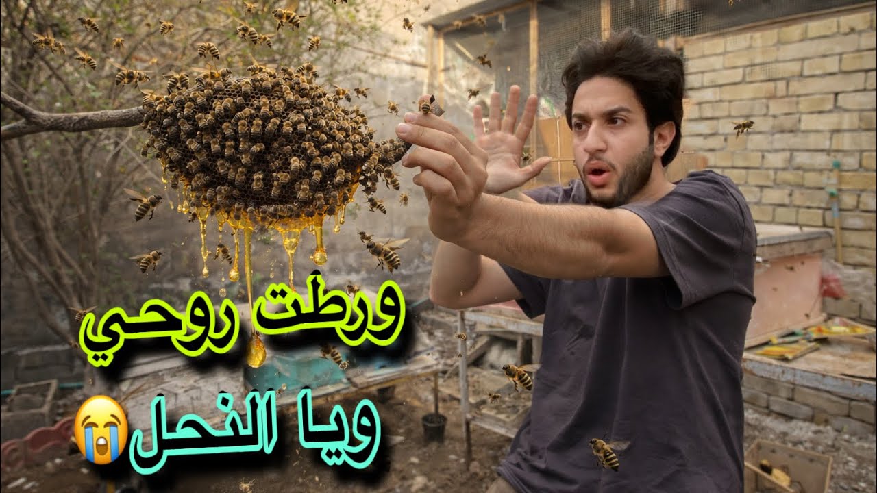 شوفو شنو من بيض وصلني😳صارت كارثه ويا النحل البري😭💔