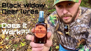 Making a mock scrape - Black Widow Deer Lure Test