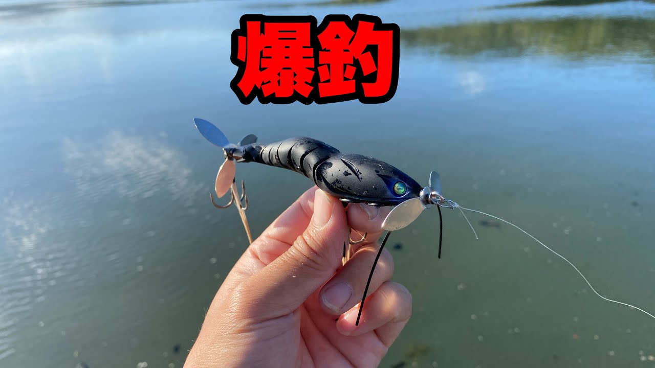 I enjoyed autumn bass fishing for the first time in a while. - YouTube