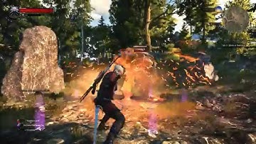 The Witcher 3 - Earth Elemental Fight