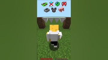 W Team Saved Alex | Minecraft Animation #sigma #herobrine #minecraft #animation #shorts #dream