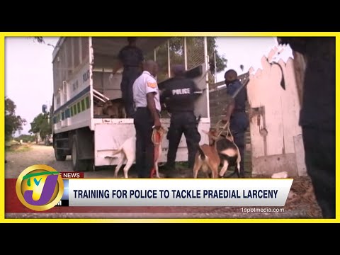 Training for Police to Tackle Praedial Larceny | TVJ News - July 3 2022