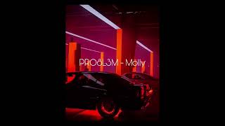 PRO8L3M - Molly