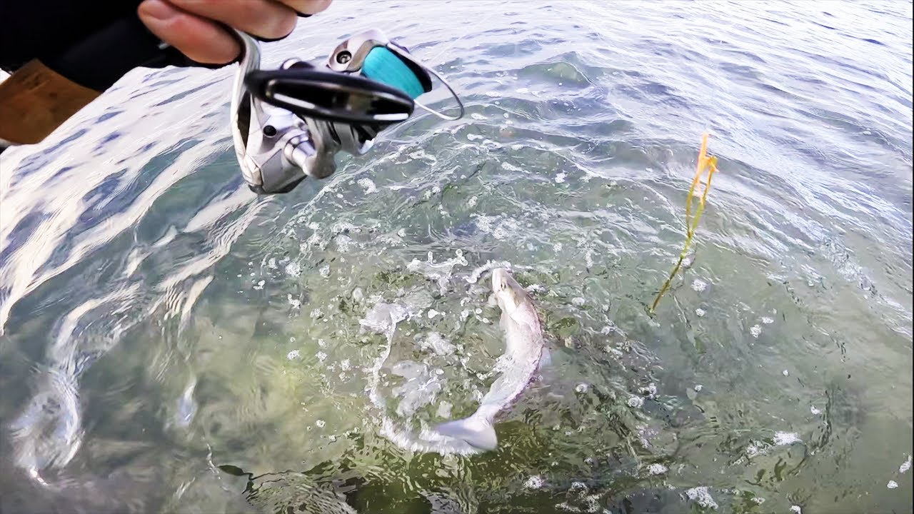 HAVSÖRING med WIGGLER - Första vloggen 2023