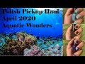 Polish Pickup Haul - April 2020