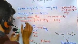 Famous Connecting link and missing link CSIR NET life sciences Net Worth