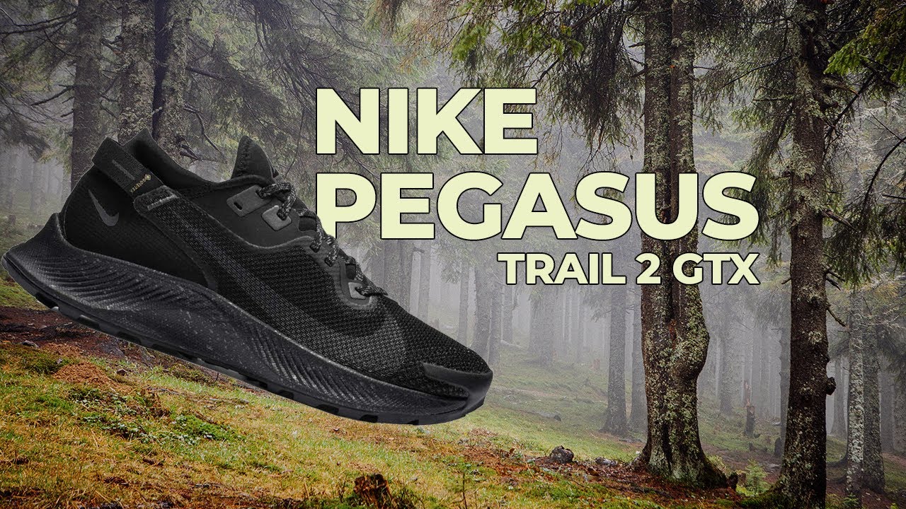 Кроссовки nike pegasus trail 4. Nike Pegasus Trail 2. Nike Pegasus Trail 4 Gore-Tex. Nike React Pegasus Trail 4 Gore-Tex. Nike React Pegasus Trail 4 GTX.