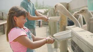 Discover Buellton, California in 15 Seconds Profile