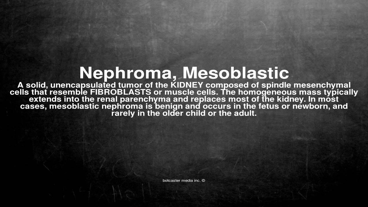 Medical vocabulary: What does Nephroma, Mesoblastic mean