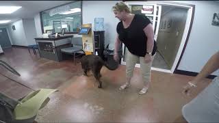 Graham Visits the Spokane Humane Socieity by RVs Northwest 106 views 6 years ago 1 minute, 6 seconds