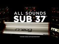All Sounds Moog Sub 37