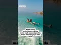 🇯🇴 Gapim rost 😁 #shuhratvoyager #sayohat #iordaniya #hazil #deadsea #jordan #саёхат #хазил