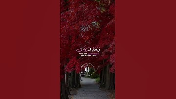 تلاوة هادئة خاشعة تريح القلب ❤🥺قران كريم بصوت جميل جداً