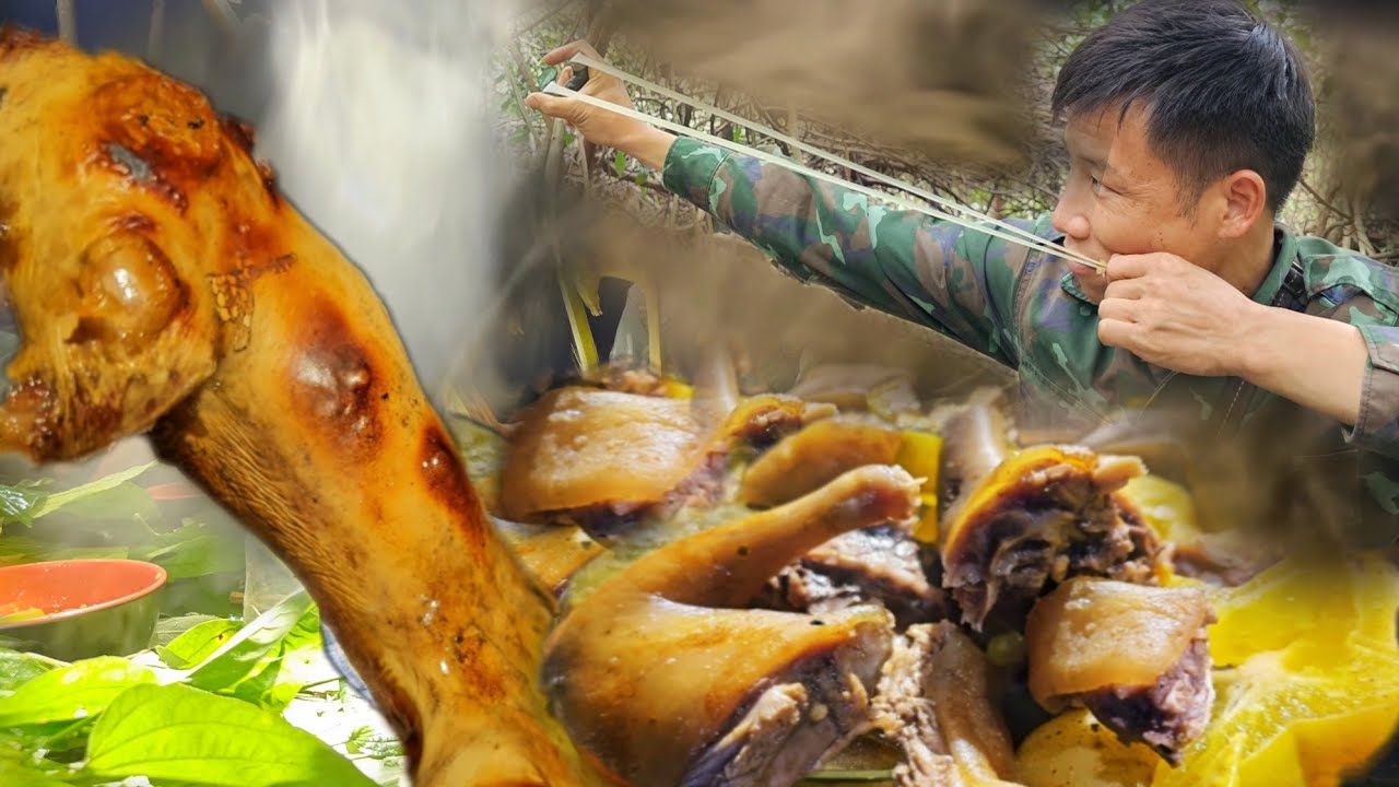 7 NGÀY SỐNG TRONG RỪNG - T3 / TÌM DƯỢC LIỆU CÂY AN XOA & S.Ă.N CHUỘT LÀM THỨC ĂN !